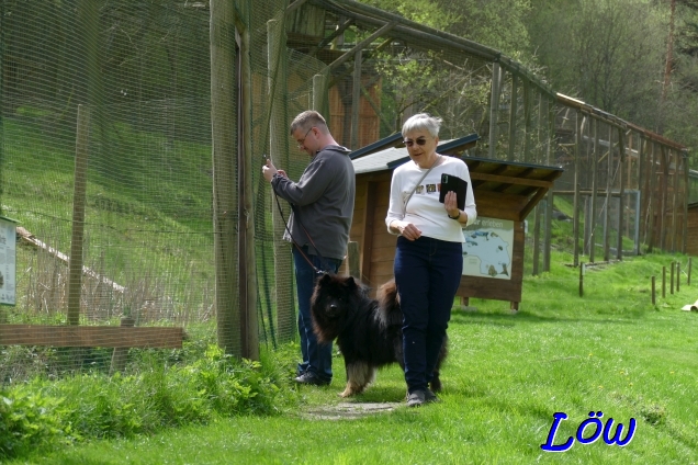 21.4.2025 - Howard auf Tierparkvisite